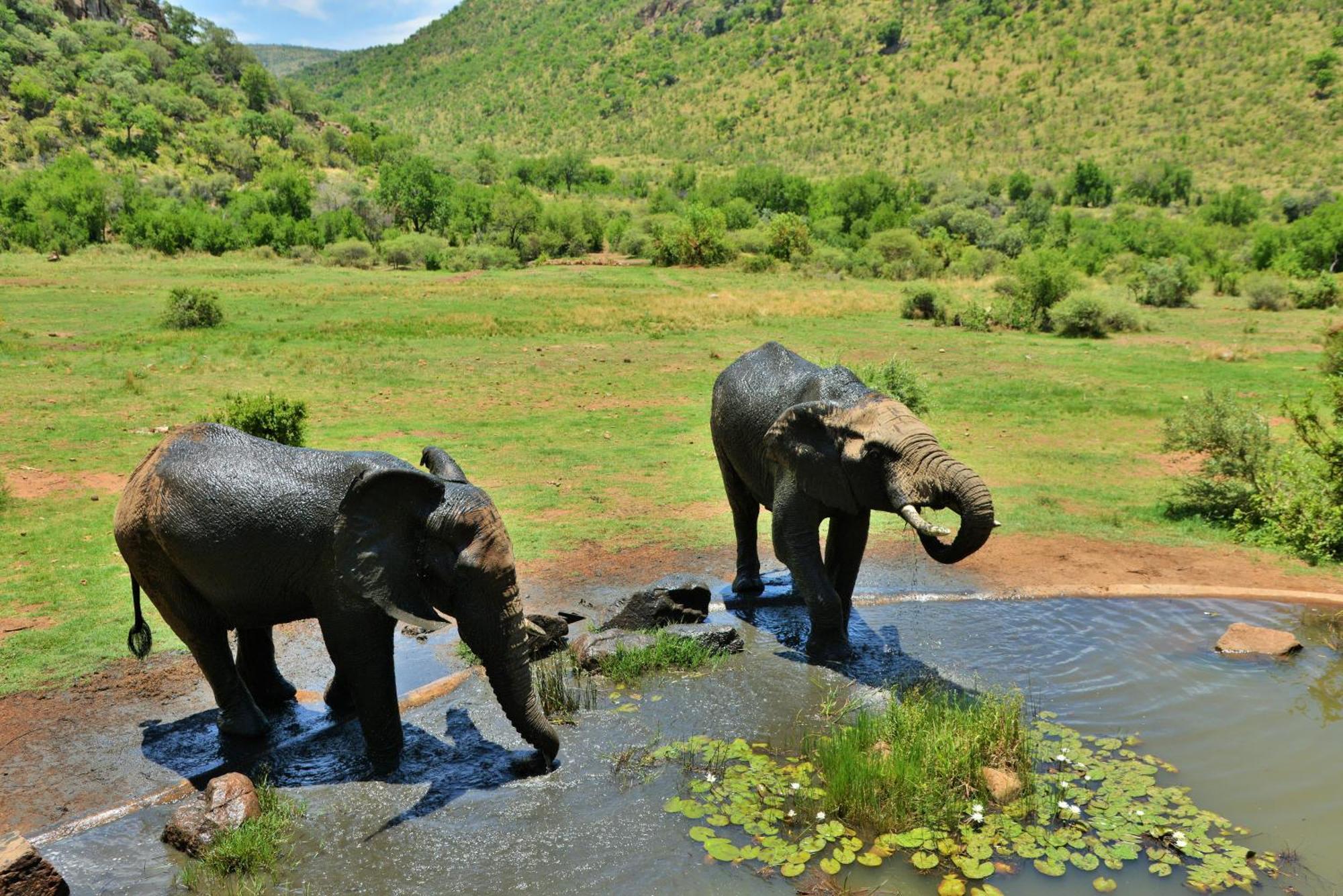 Kwa Maritane Lodge Ledig Exteriér fotografie