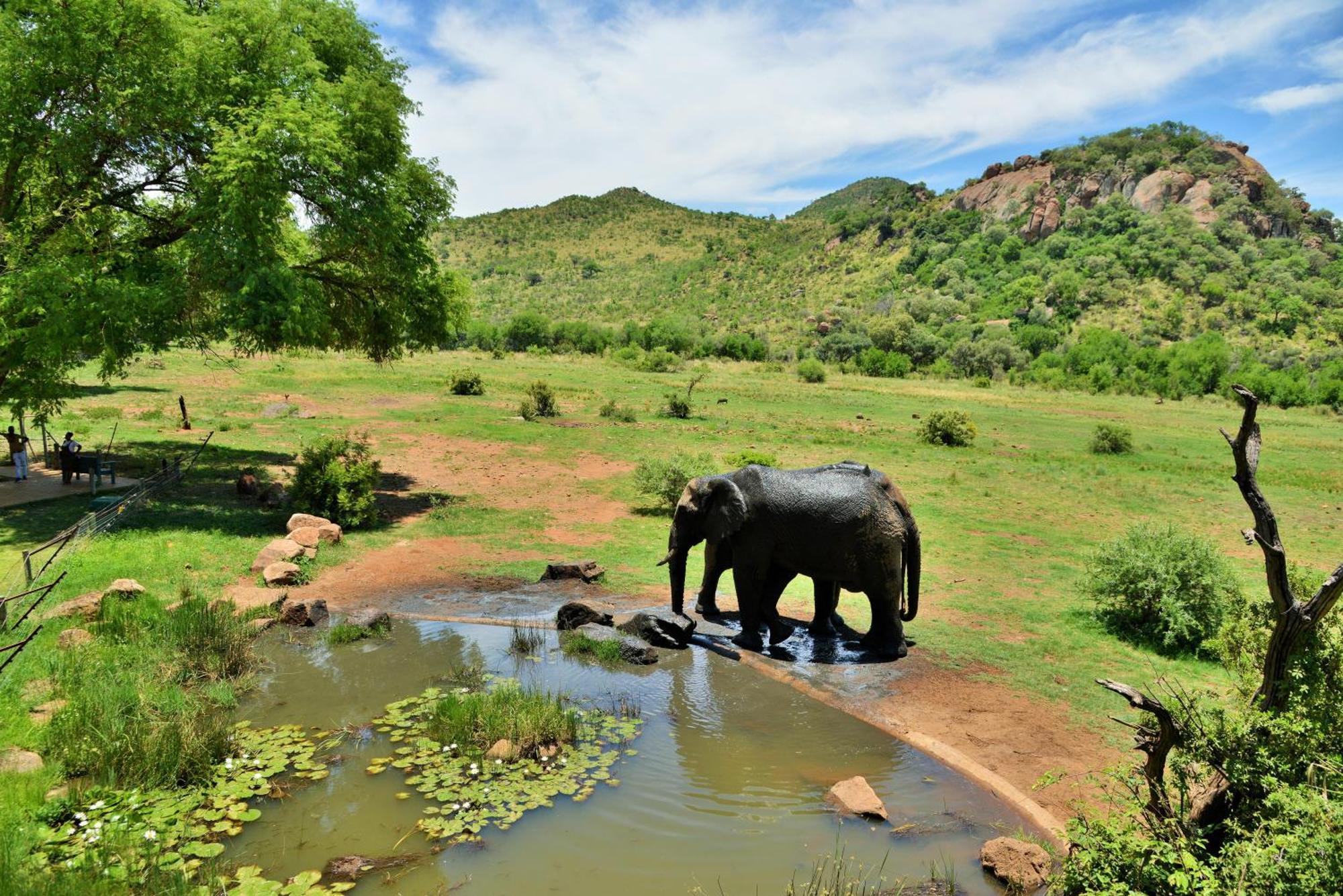 Kwa Maritane Lodge Ledig Exteriér fotografie