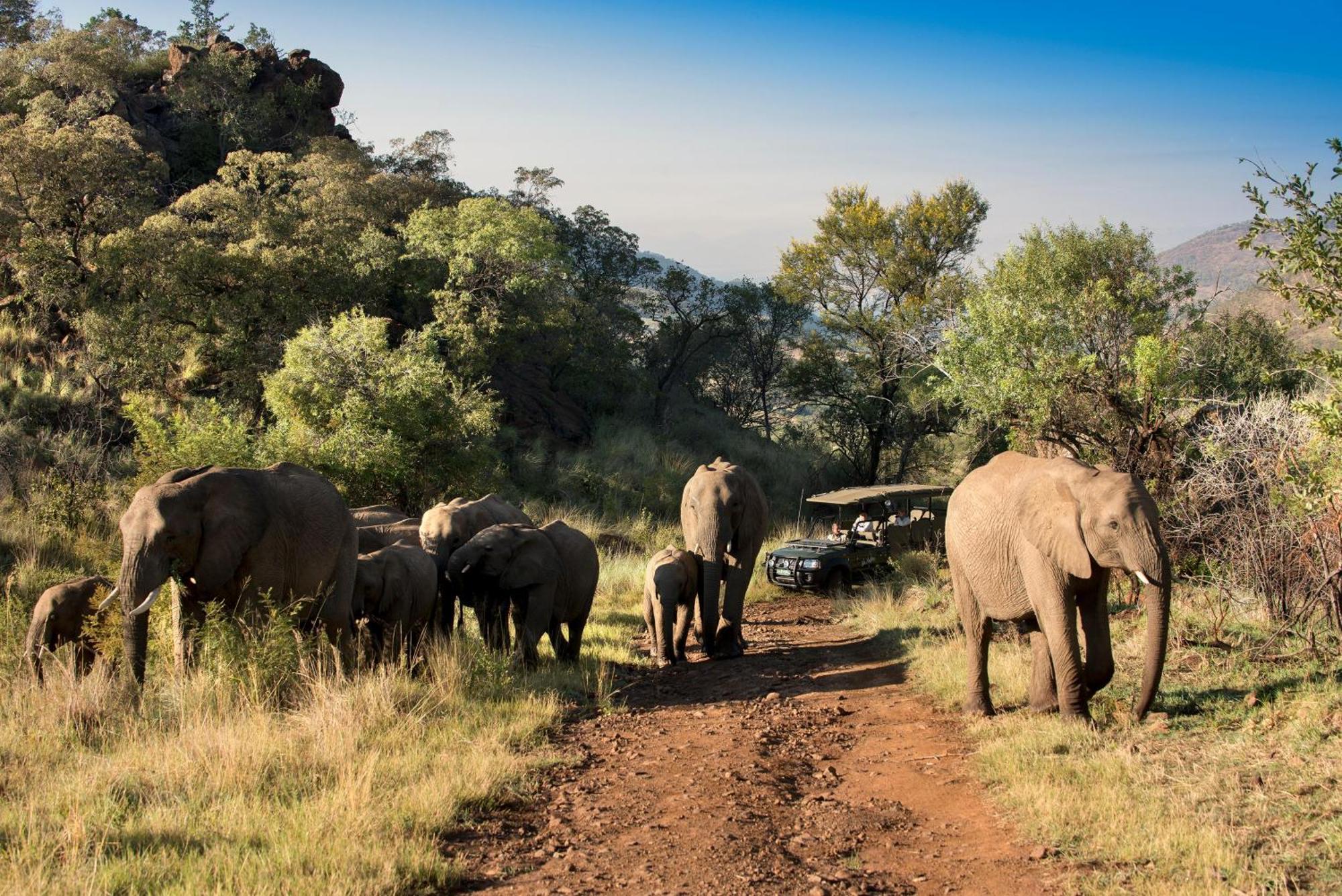 Kwa Maritane Lodge Ledig Exteriér fotografie